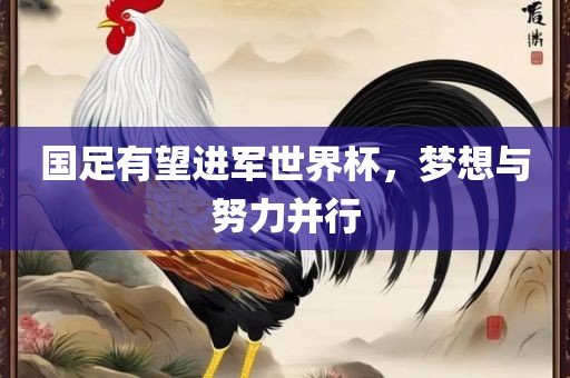 国足有望进军世界杯，梦想与努力并行