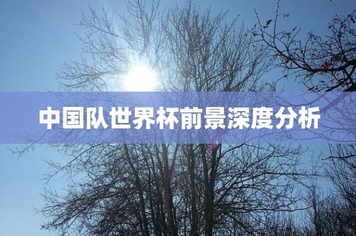 中国队世界杯前景深度分眉山市正发家政服务有限公司析