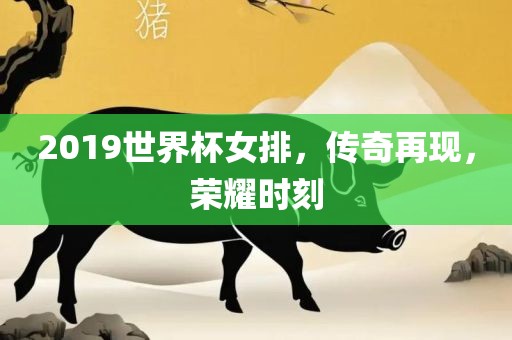 2019世界杯女排，传奇再现，荣耀时刻眉山市正发家政服务有限公司