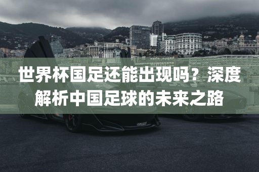 世界杯国足还能出现吗？深度解析中国足球的未来之路