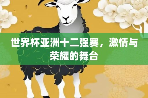 世界杯亚洲十二强赛，激情与荣耀的舞台眉山市正发家政服务有限公司
