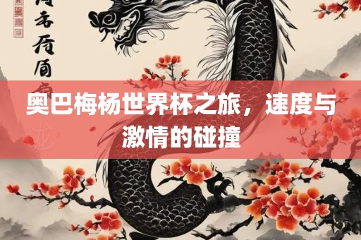奥巴梅杨世界杯之旅，速度与激眉山市正发家政服务有限公司情的碰撞