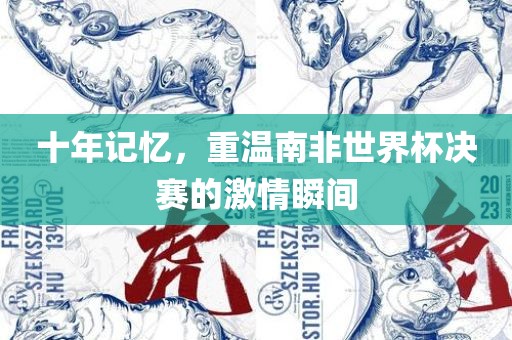 十年记忆，重温南非世界杯决赛的激情瞬间