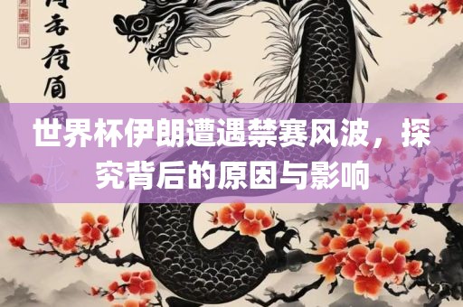 世界杯伊朗遭遇禁赛风波，探究背后的原因与影响