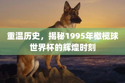 重温历史，揭秘1995年橄榄球世界杯的辉煌时刻
