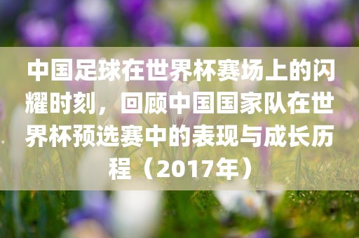 中国足球在世界杯赛场上的闪耀时刻，回顾中国国家队在世界杯预选赛中的表现与成长历程（2017年）眉山市正发家政服务有限公司