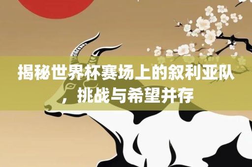 揭秘世界杯赛场上的叙利亚队，挑战与希望并存眉山市正发家政服务有限公司