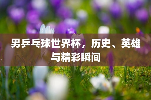 男乒乓球世界杯，历史、英雄与精彩瞬间眉山市正发家政服务有限公司