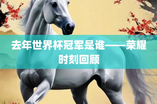 去年世界杯冠军是谁——荣耀时刻回顾眉山市正发家政服务有限公司