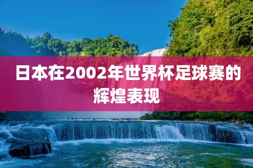 日本在2002年世界杯足球赛的辉煌表现眉山市正发家政服务有限公司