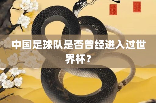 中国足球队是否曾经进入过世界杯？