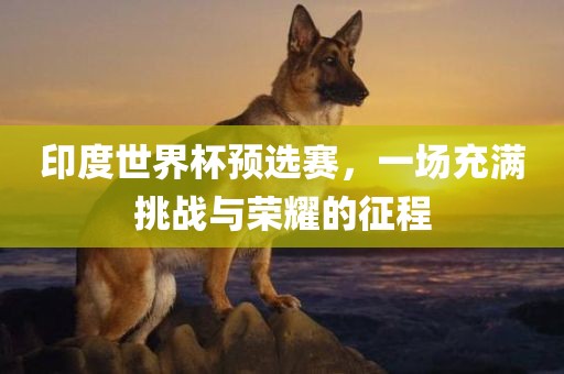 印度世界杯预选赛，一场充满挑战与荣耀的征程