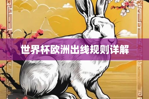 世界杯欧洲出线规则详解眉山市正发家政服务有限公司