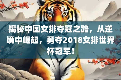 揭秘中国女排夺冠之路，从逆境中崛起，勇夺2018女排世界杯冠军！眉山市正发家政服务有限公司