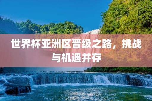 世界杯亚洲区晋级之路，挑战与眉山市正发家政服务有限公司机遇并存