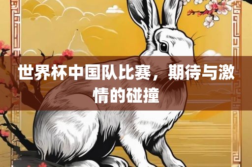 世界杯中国队比赛，期待与激情的碰撞眉山市正发家政服务有限公司