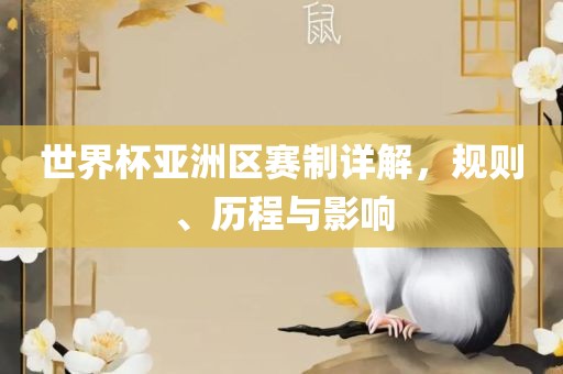 世界杯亚洲区赛制详解，规则、历程与影响眉山市正发家政服务有限公司