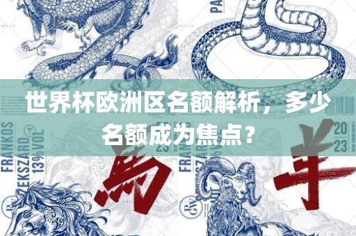 世界杯欧洲区名额解析，多少名额成为焦点？