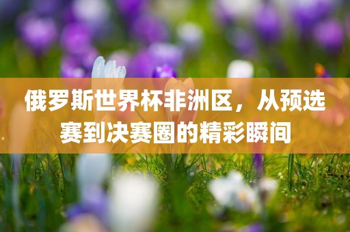 俄罗斯世界杯非洲区，从预选赛到决赛圈的精彩瞬间眉山市正发家政服务有限公司