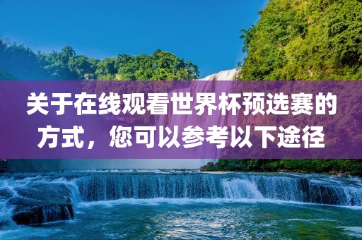 世界杯预选赛 第8页