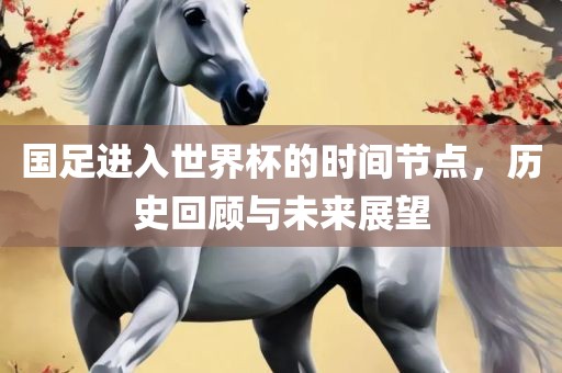 国足进入世界杯的时间节点，历史回顾与未来展望眉山市正发家政服务有限公司