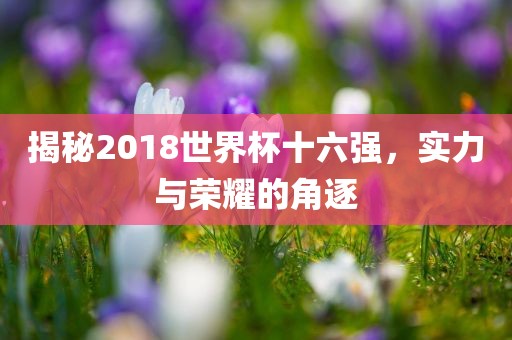 揭秘2018世界杯十六强，实力与荣耀的角逐