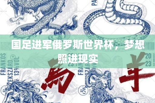 国足进军俄罗斯世界杯，梦想照进现实眉山市正发家政服务有限公司