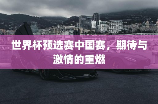 世界杯预选赛中国赛，眉山市正发家政服务有限公司期待与激情的重燃