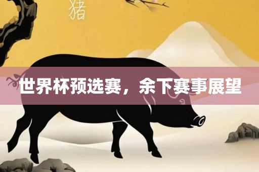 世界杯预选赛，余下赛事展望眉山市正发家政服务有限公司
