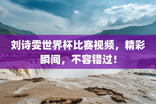 刘诗雯世界杯比赛视频，精彩瞬间，不容错过！眉山市正发家政服务有限公司