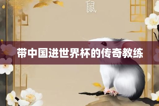 带中国进世界杯的传奇教练眉山市正发家政服务有限公司