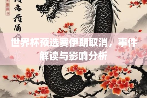 世界杯预选赛伊朗取消，事件解读与影响分析眉山市正发家政服务有限公司