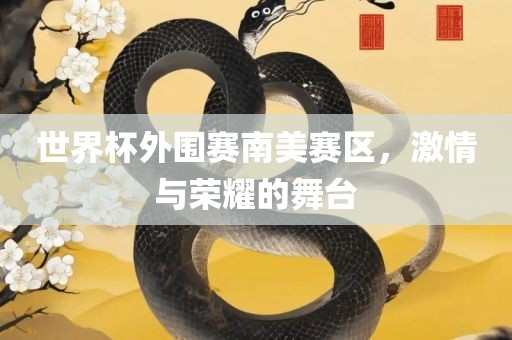 世界杯外围赛南美赛区，激情与荣耀的舞台眉山市正发家政服务有限公司