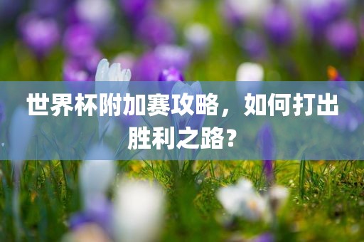 世界杯附加赛攻略，如何打出胜眉山市正发家政服务有限公司利之路？
