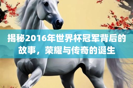 揭秘2016年世界杯冠军背后的故事，荣耀与传奇的诞生眉山市正发家政服务有限公司