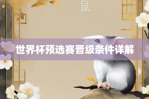 世界杯预选赛晋级条件详解眉山市正发家政服务有限公司