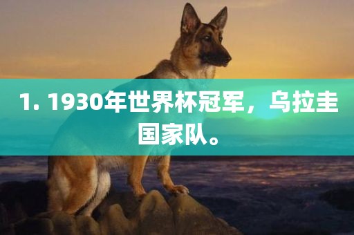 1. 1930年世界杯冠军，乌拉圭国家队。
