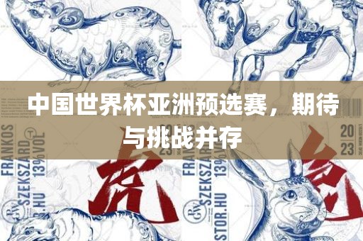 中国世界杯亚洲预选赛，期待与挑战并存眉山市正发家政服务有限公司