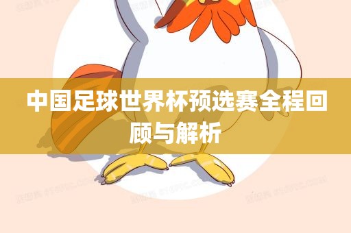 中国足球世界杯预选赛全程回顾与解析眉山市正发家政服务有限公司
