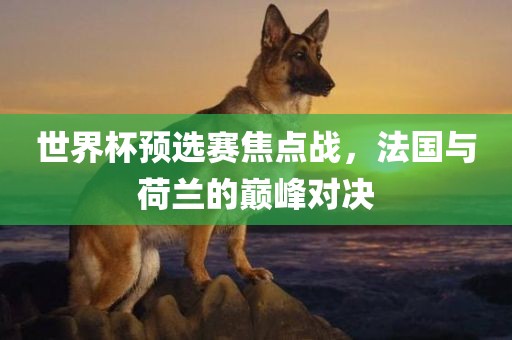 世界杯预选赛焦点战，法国与荷兰的巅峰对决眉山市正发家政服务有限公司