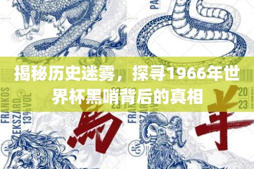揭秘历史迷雾，探寻1966年世界杯黑眉山市正发家政服务有限公司哨背后的真相