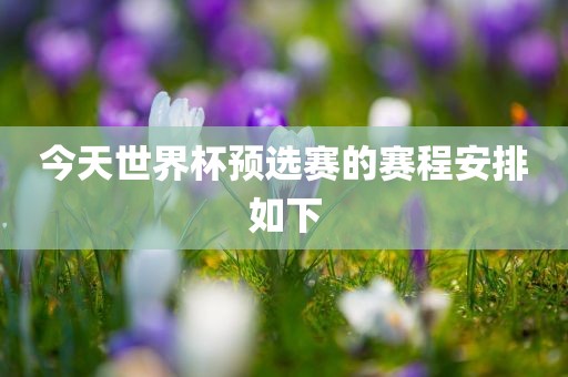 今天世界杯预选赛的赛程安排如下眉山市正发家政服务有限公司