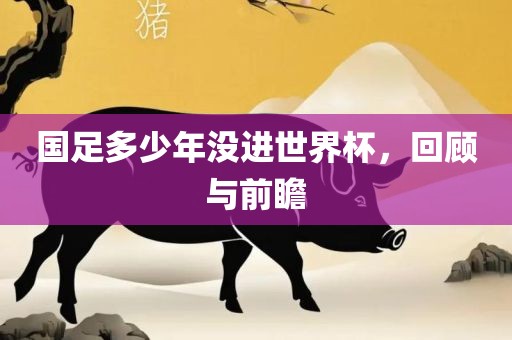 国足多少年没进世界杯，回顾与前瞻眉山市正发家政服务有限公司
