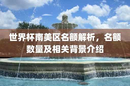 世界杯南美区名额解析，名额数量及相关背景介绍