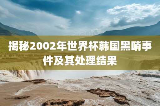 揭秘2002年世界杯韩国黑哨事件及其处理结果