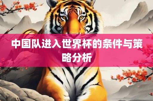 中国队进入世界杯的条件与策略分析眉山市正发家政服务有限公司