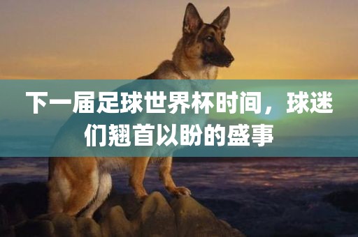 下一届足球世界眉山市正发家政服务有限公司杯时间，球迷们翘首以盼的盛事