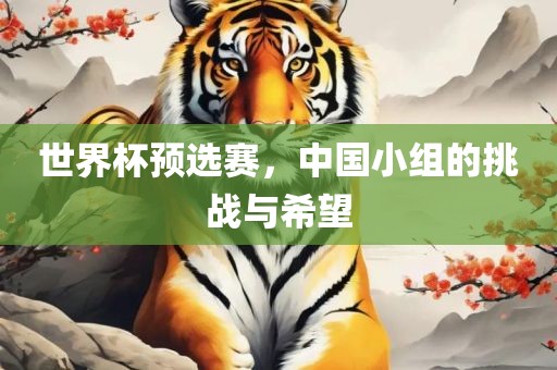 世界杯预选赛，中国小组的挑战与希望眉山市正发家政服务有限公司