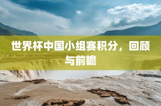 世界杯中国小组赛积分，回顾与前瞻眉山市正发家政服务有限公司