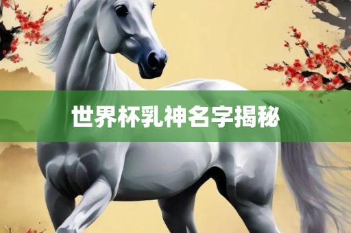 世界杯乳神名字揭眉山市正发家政服务有限公司秘